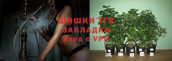 гашик Алексеевка