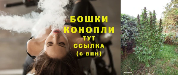 молекула духа Рославль