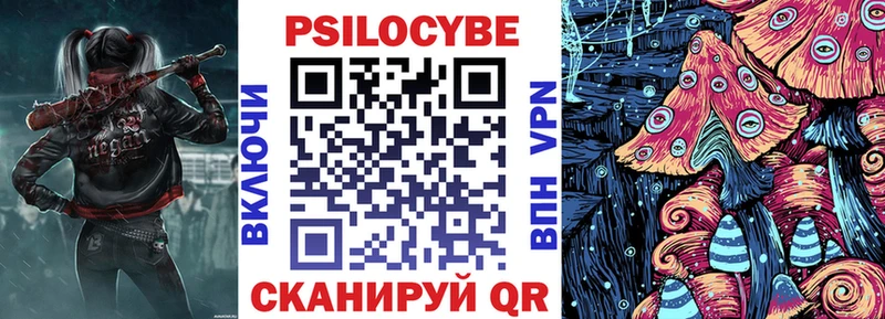 Псилоцибиновые грибы Psilocybe  Ленинск 